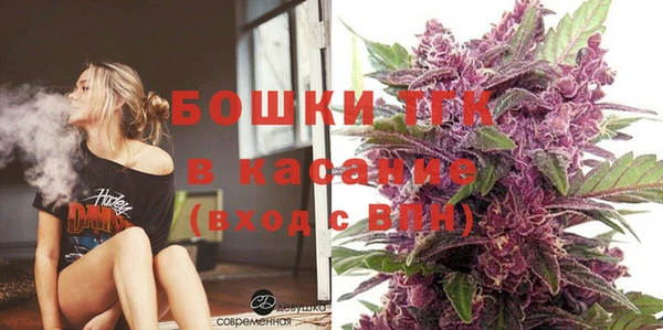 индика Костерёво