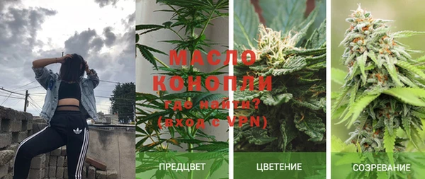 индика Костерёво