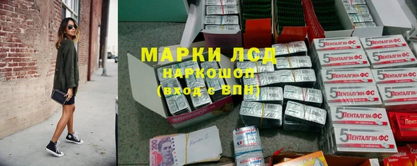гашик Корсаков