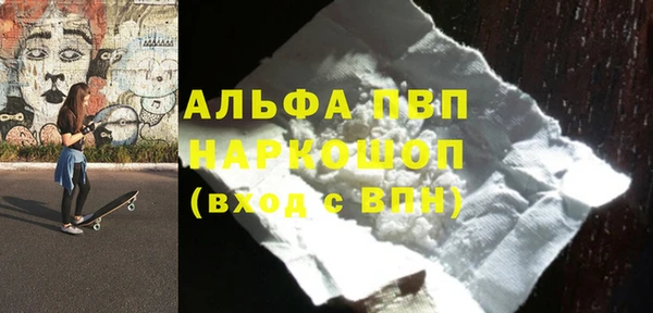 гашик Корсаков