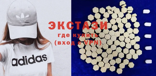 индика Костерёво