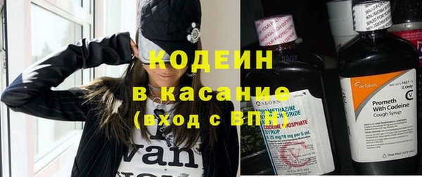 индика Костерёво