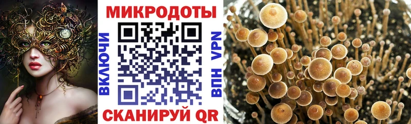 купить   Яранск  Псилоцибиновые грибы Magic Shrooms 